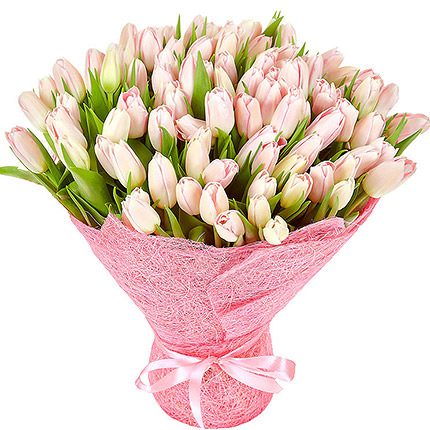 101 tulipanes rosas - Product image
