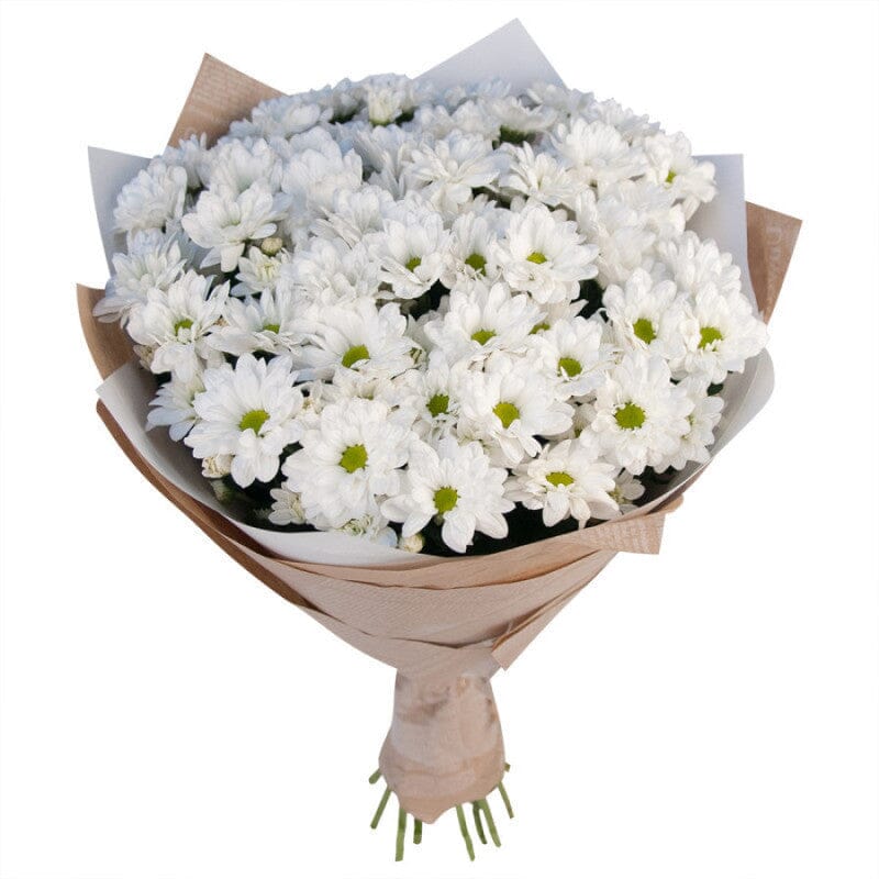 Ramo de margaritas blancas - Product image