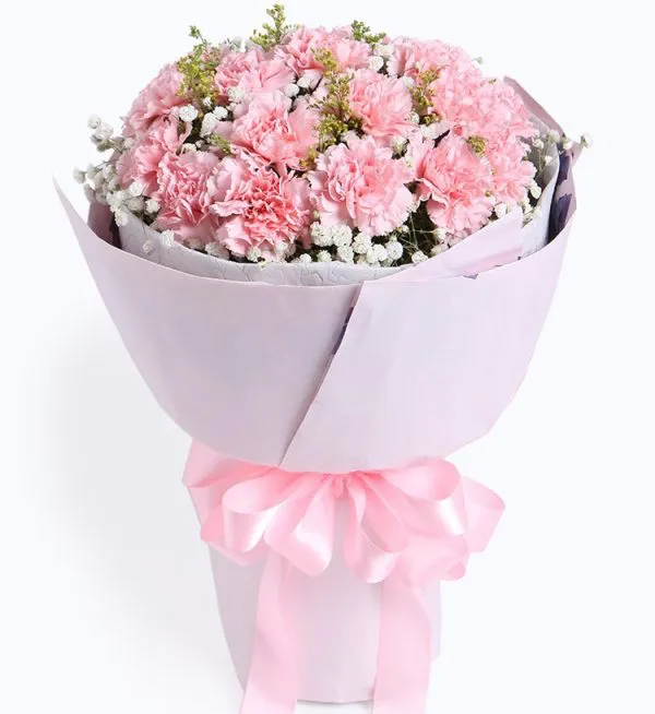 19 steams pink carnation - Product image
