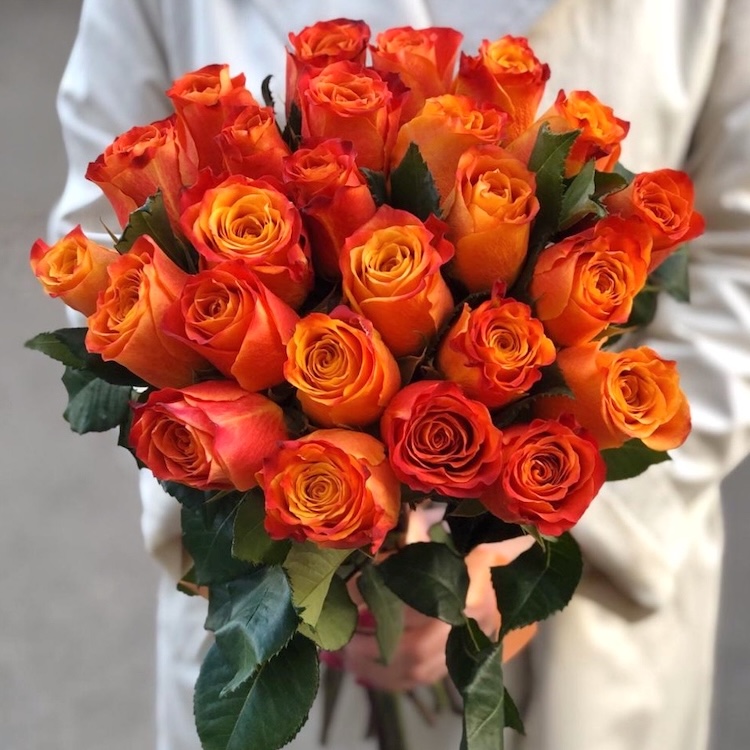 25 Orange Roses - Product image