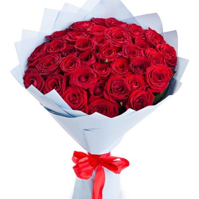 31 Red roses - Product image