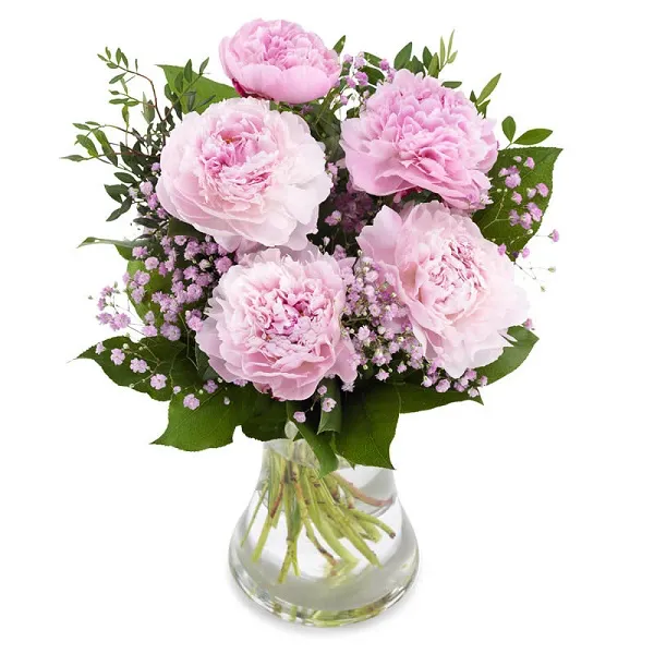 5 pink Peony - Product image