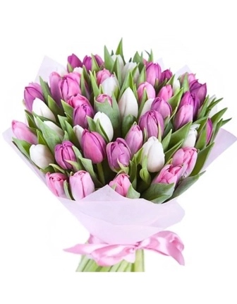 51 pink and white tulips - Product image