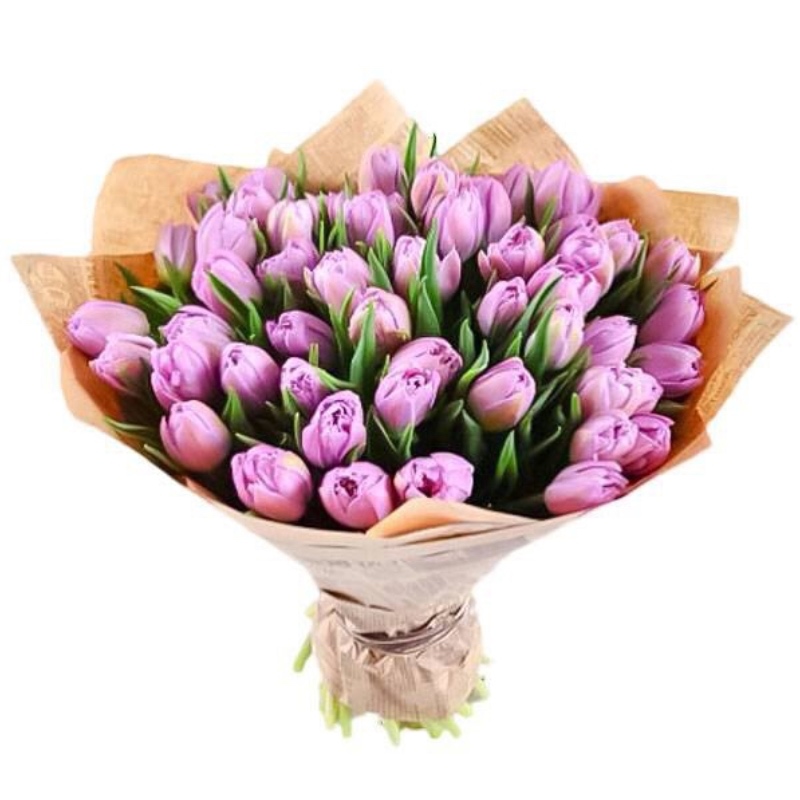 51 Lilac Tulips - Product image