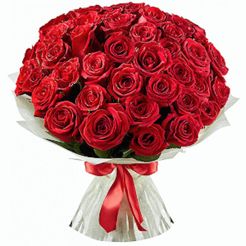 Ramo de 51 rosas rojas de primera calidad - Product image