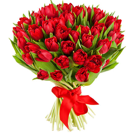51 Red Tulips - Product image