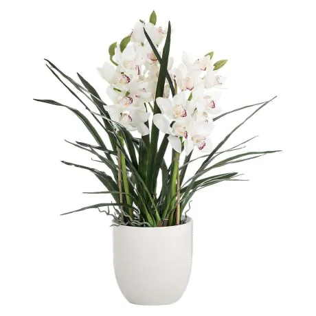 Exclusive White Cymbidium Orchid - Product image