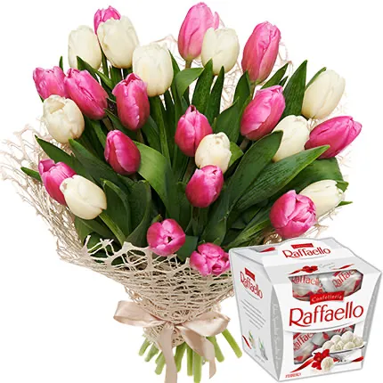 25 white and pink tulips + Raffaello
