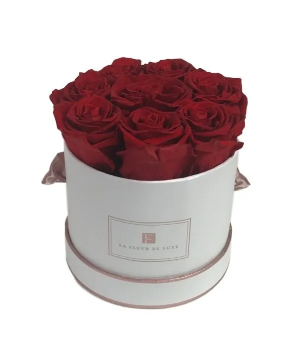 8 Red Long Lasting Roses - Product image