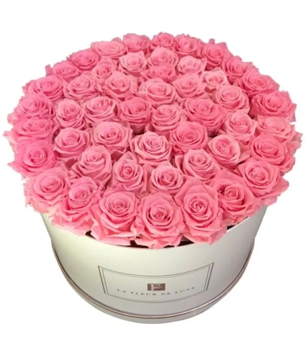 42-46 Pink Long Lasting Roses - Product image