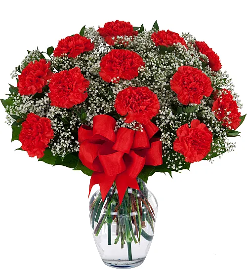 12 Red Carnations - Product image