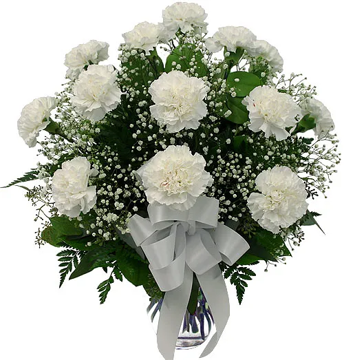 One Dozen White Carnations - Product image