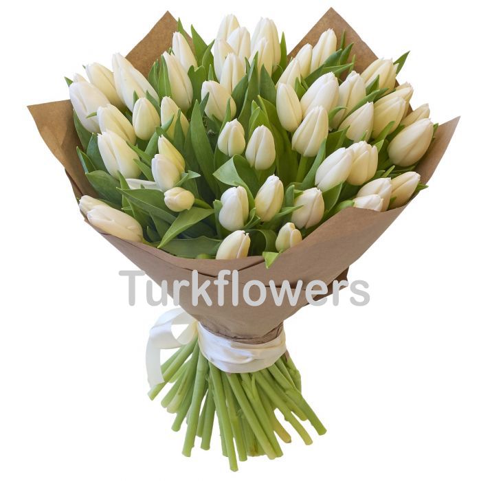 51 White Tulips - Product image