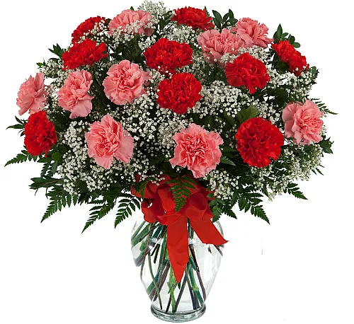 Beautiful Carnations - Product image