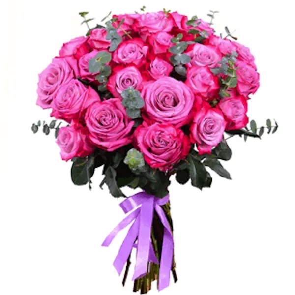 21 Morado oscuro - Product image