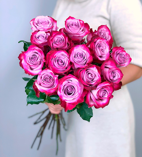 21 rosas de color púrpura intenso - Product image