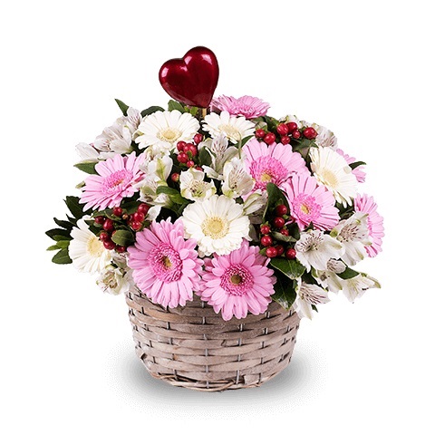 Mini gerberas rosas y blancas - Product image