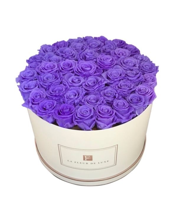 42-46 Rose viola a lunga durata - Product image