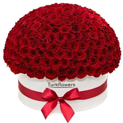 Luxury Box with 151 Red Roses - Product image