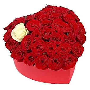 Caja de hogar "Amándote" - Product image