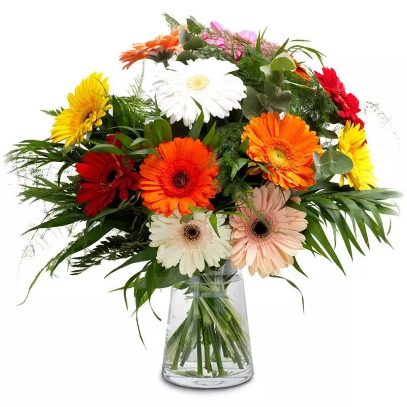 Mundo de colores - Product image