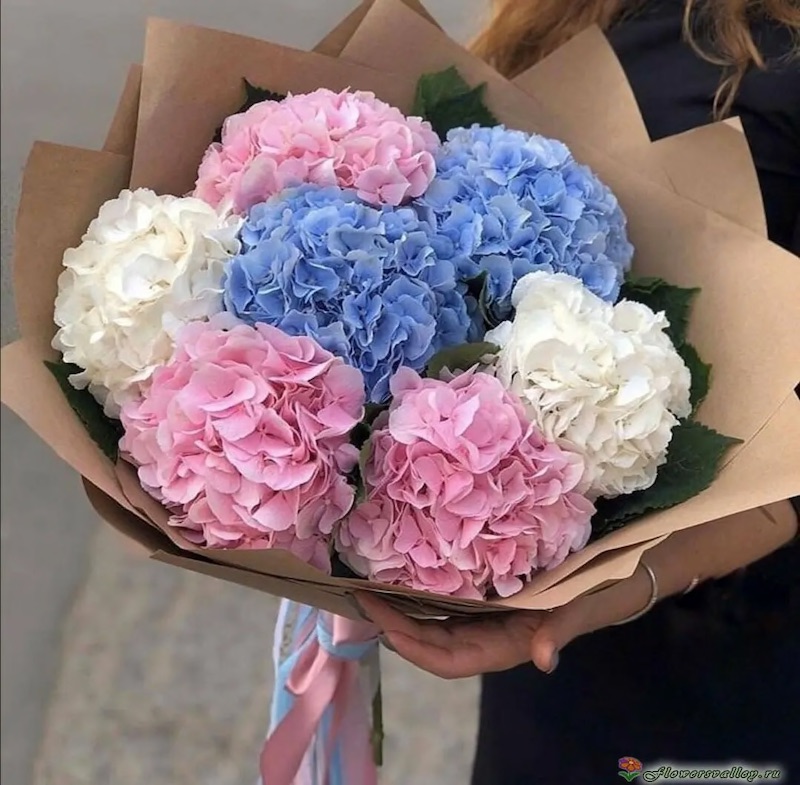 Mixed Hydrangea Bouquet - Product image