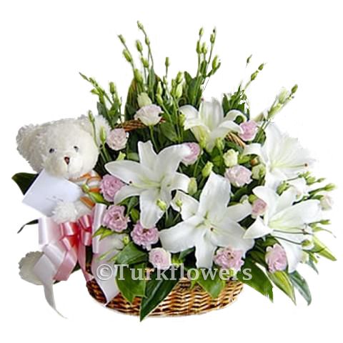 Nueva flor bebé - Product image