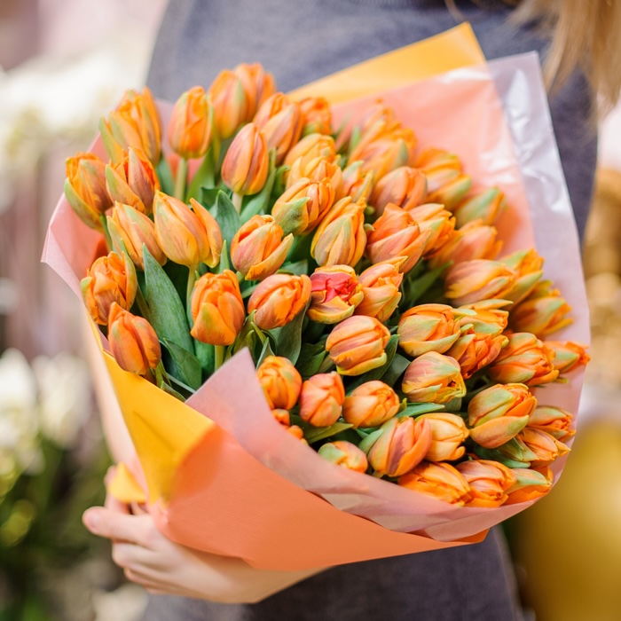 51 Peony orange tulip - Gallery image