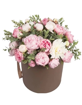 21 Peony in Box - Product image