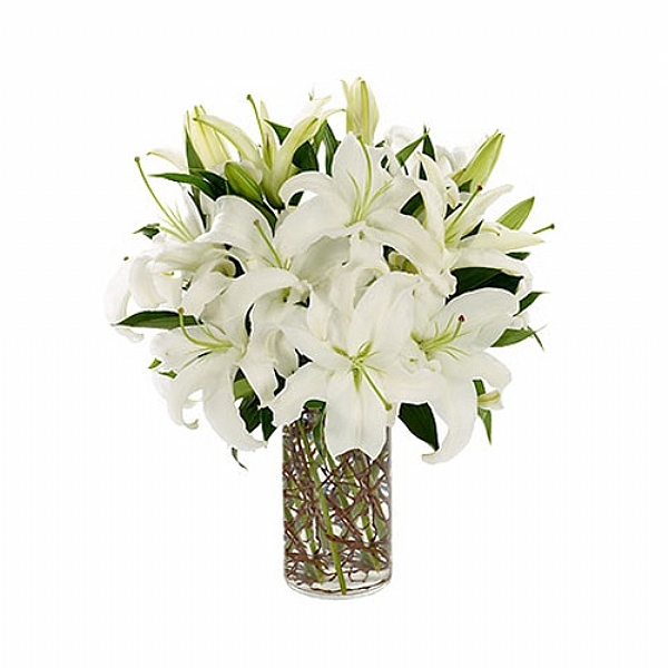 Lirio blanco en jarrón - Product image