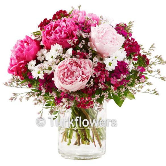 Blossom Dream - Product image