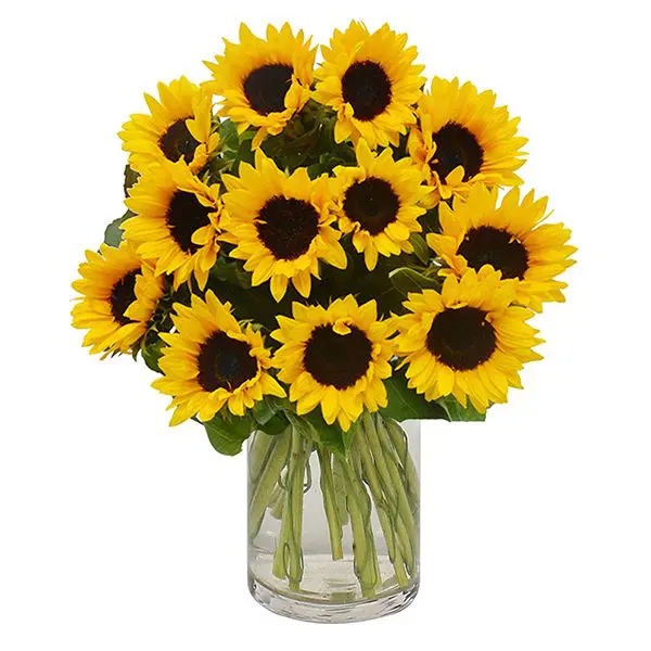Sunflowers in vase - Product image