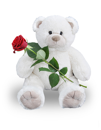 Osito de peluche y rosas rojas - Product image