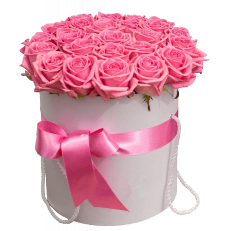 25 rosas rosadas - Product image