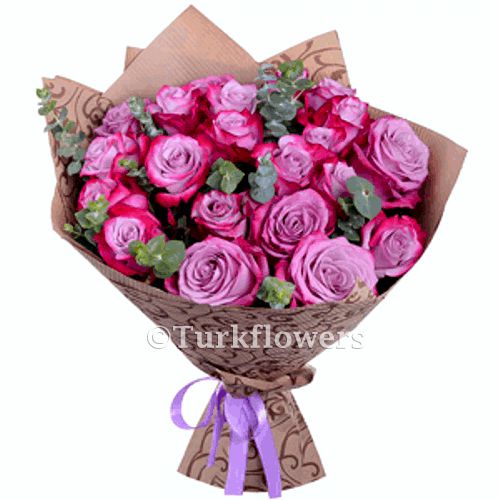21 Deep Purple Roses 