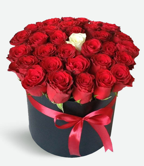 20 Red and 1 White Rose in Box - Product image
