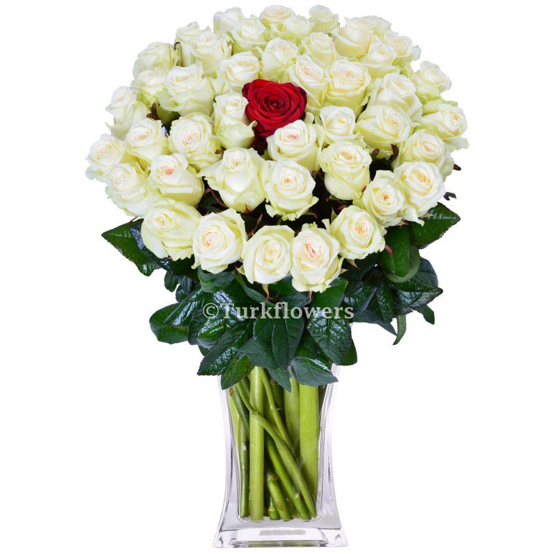 50 rosas blancas + 1 rosa roja - Product image