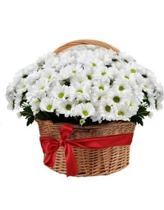 Cesta de composición con crisantemo blanco - Product image