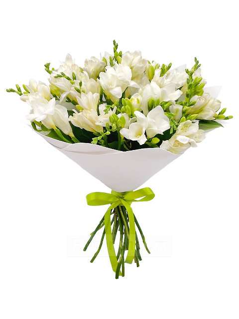 White Freesia Bouquet - Product image