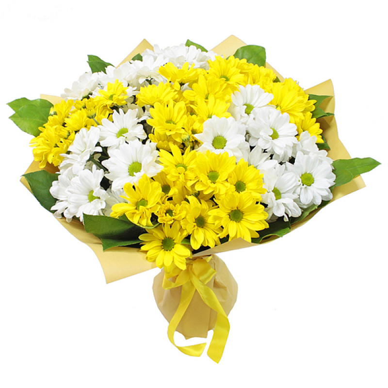 Margarita amarilla y blanca - Product image