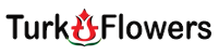 logo2