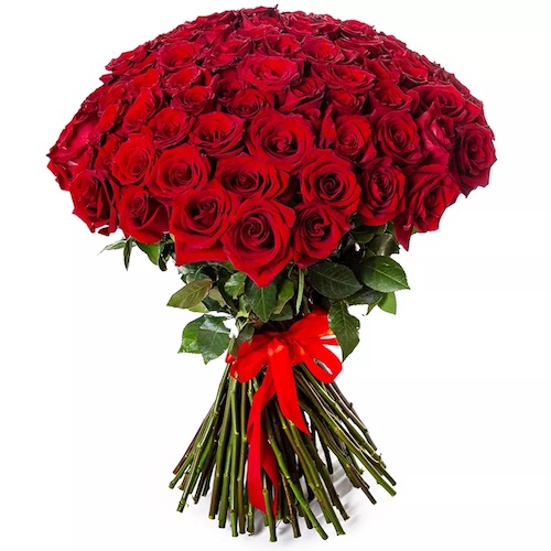 101 roses rouges locales - Thinking of You Flowers