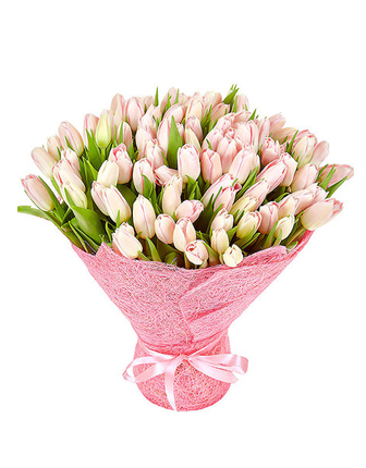 101 Pink Tulips - izmir