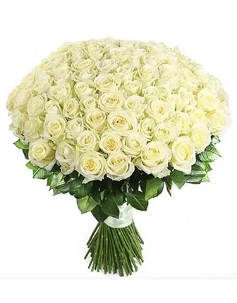 101 White Roses Bouquet - Birthday Flowers