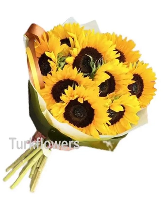11-sun-flowers