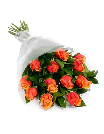 12-orange-roses