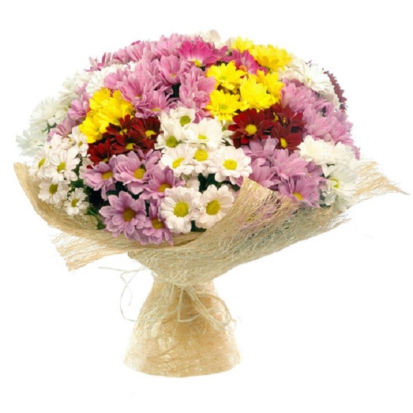 15 branches Colorful Daisy Bouquet - Bilecik