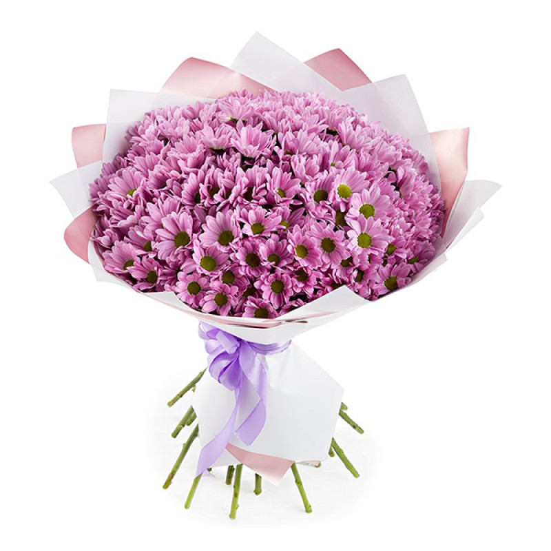15 Pink Daisies - Bilecik