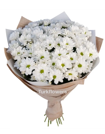 white-daisy-bouquet
