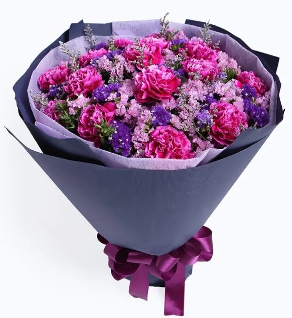 16 Steam Purple Carnation - Bilecik